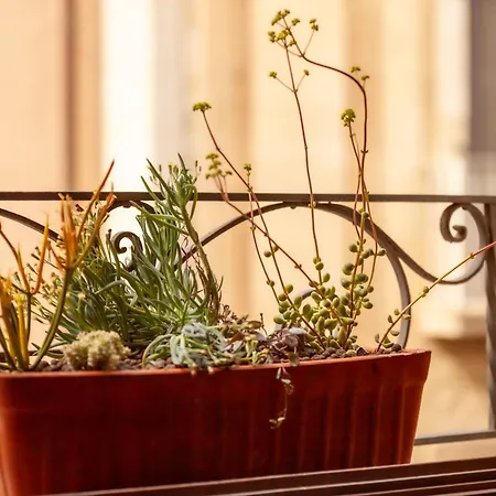 דירה Nou3 ז'ירונה